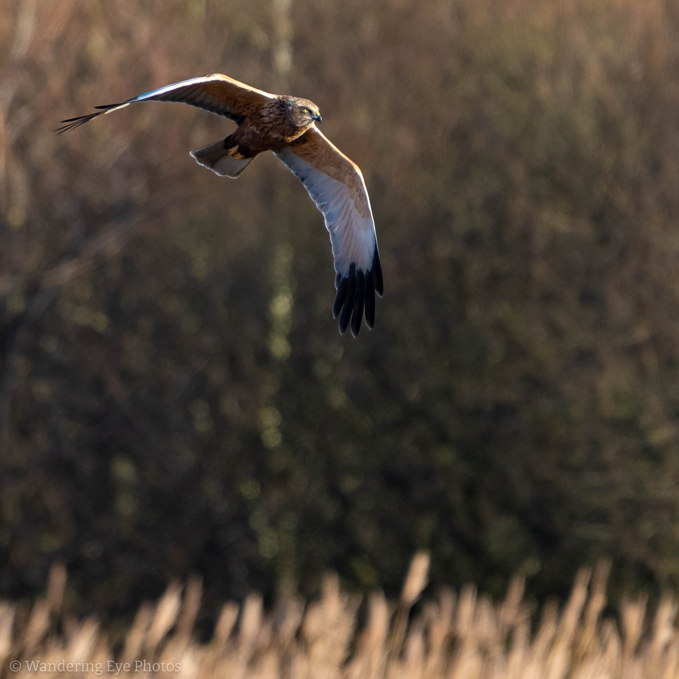 01.19 13.57.12 DSC04802